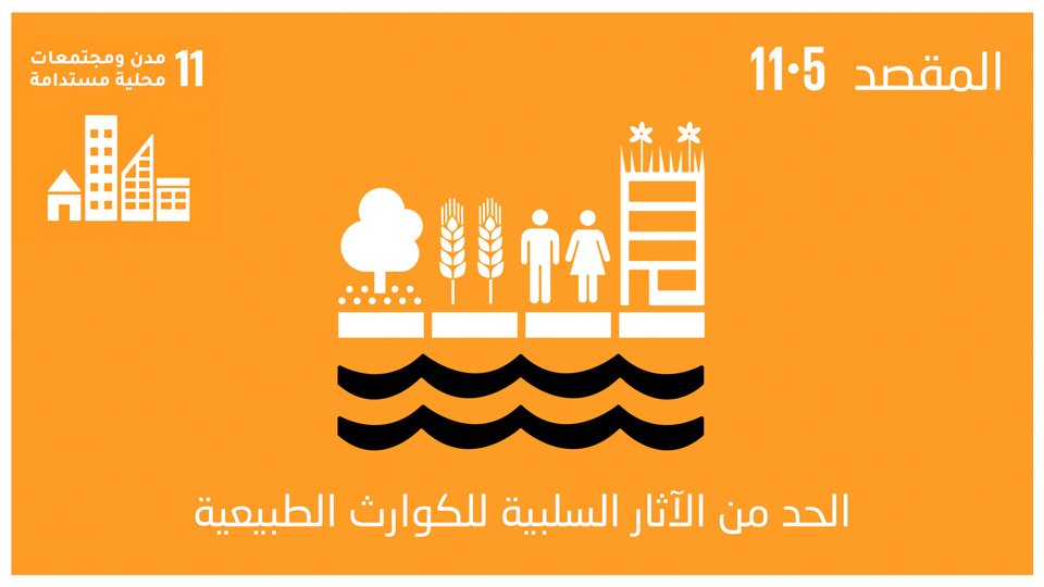 sdg-11