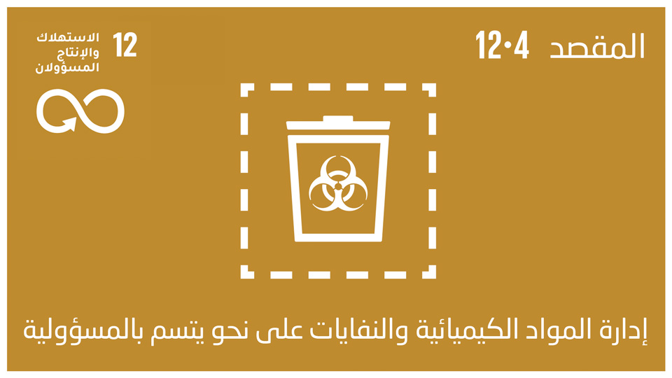 sdg-12