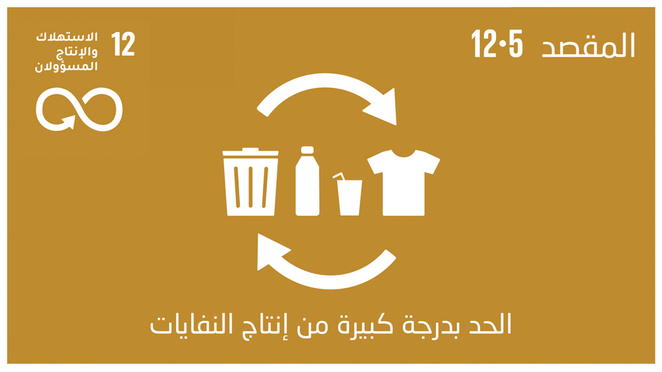 sdg-12