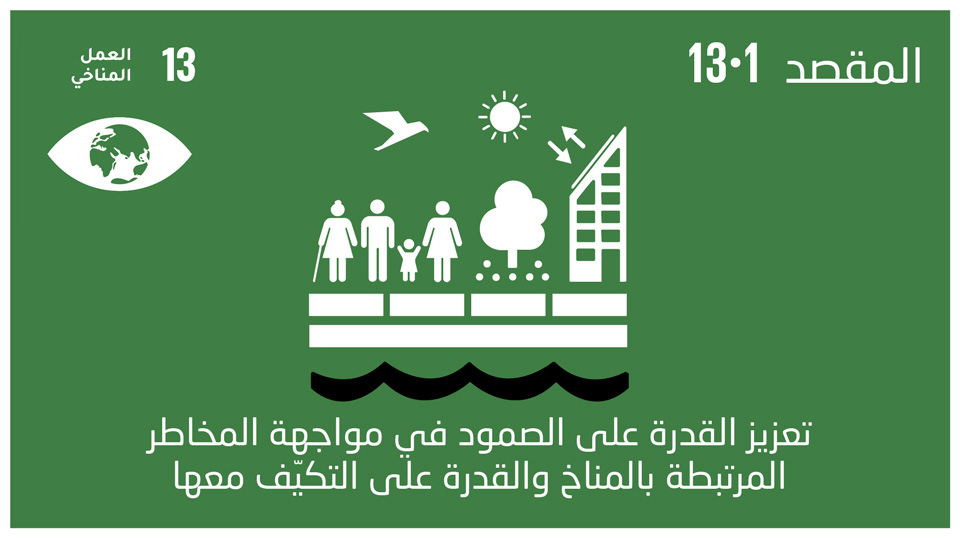 sdg-13