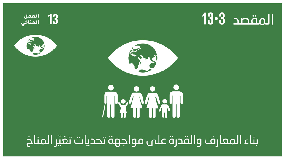sdg-13