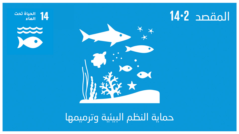 sdg-14