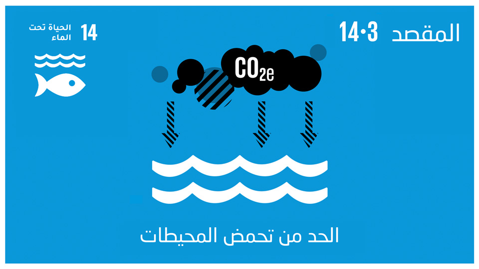 sdg-14
