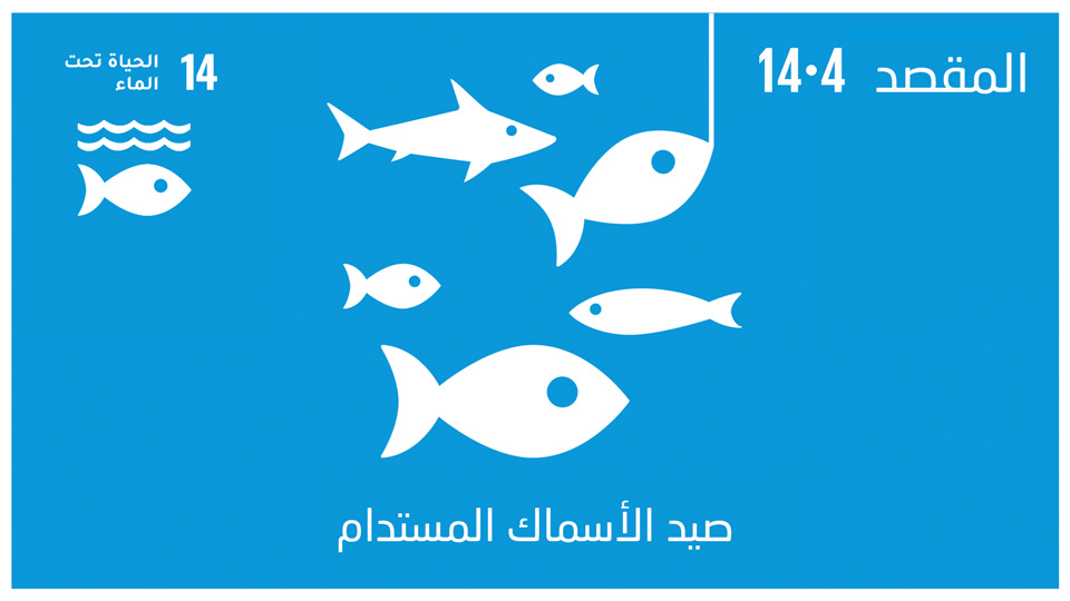 sdg-14