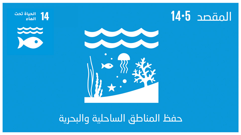 sdg-14