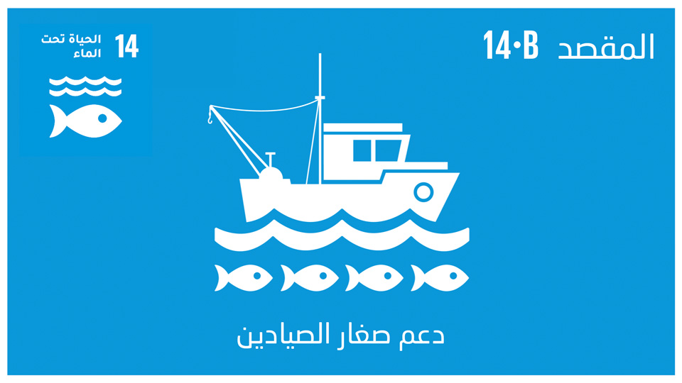 sdg-14