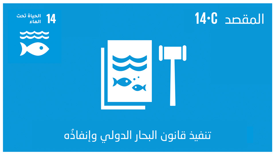 sdg-14