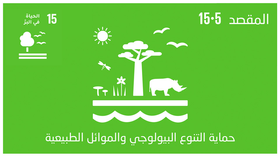 sdg-15