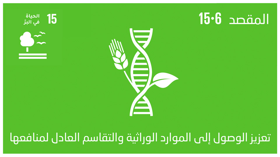 sdg-15