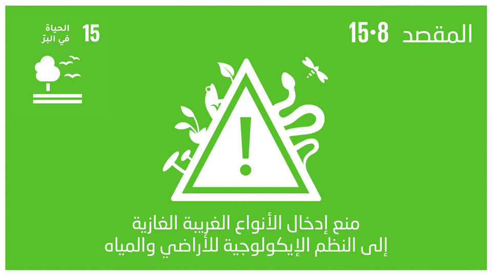 sdg-15