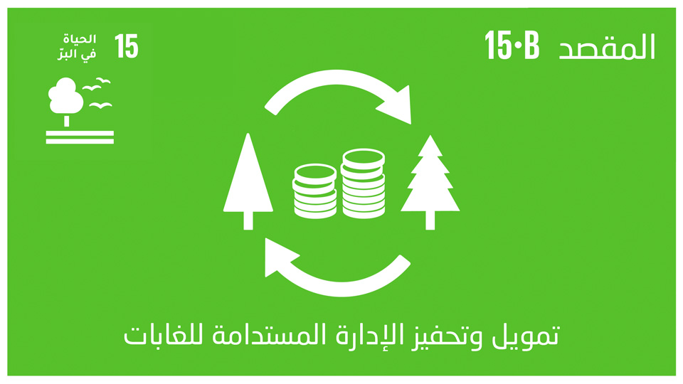 sdg-15