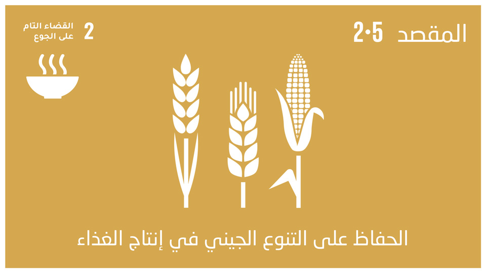 sdg-1