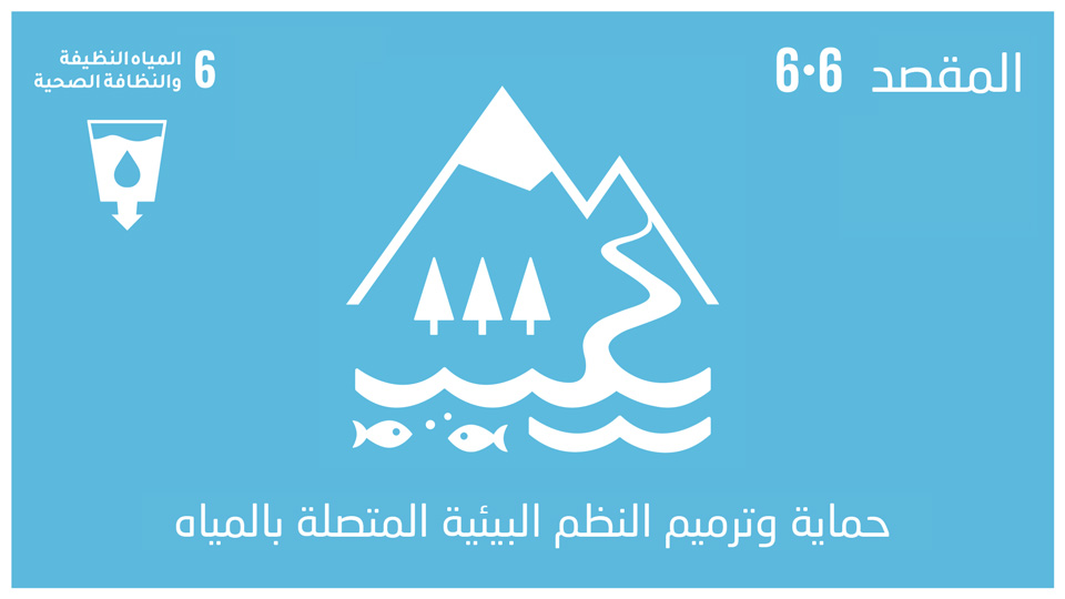sdg-6