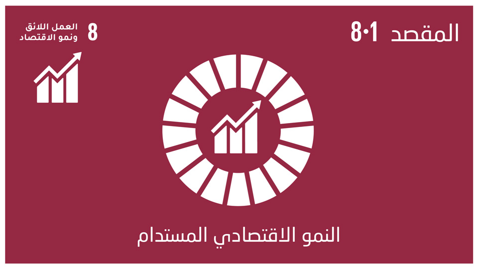 sdg-8
